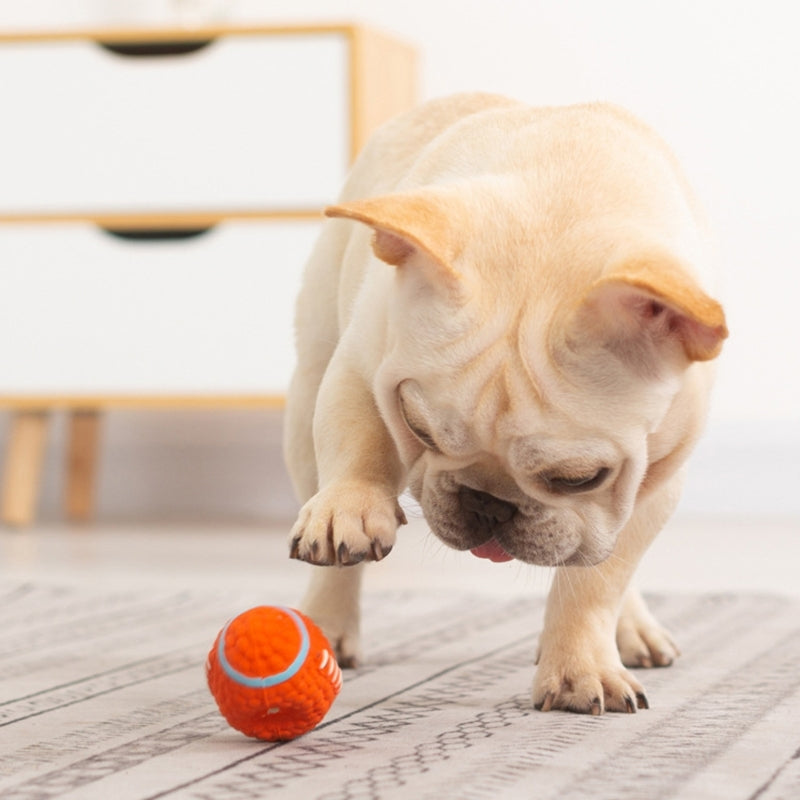 Bola Super Resistente para Pets com Costura Reforçada + Frete Grátis